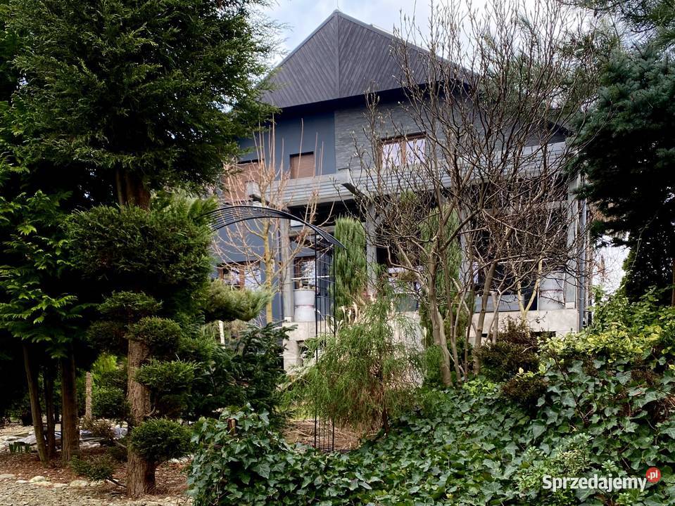 5pok 250met oś Sienkiewicza PIWNICAOGRÓDGARAŻ garaż