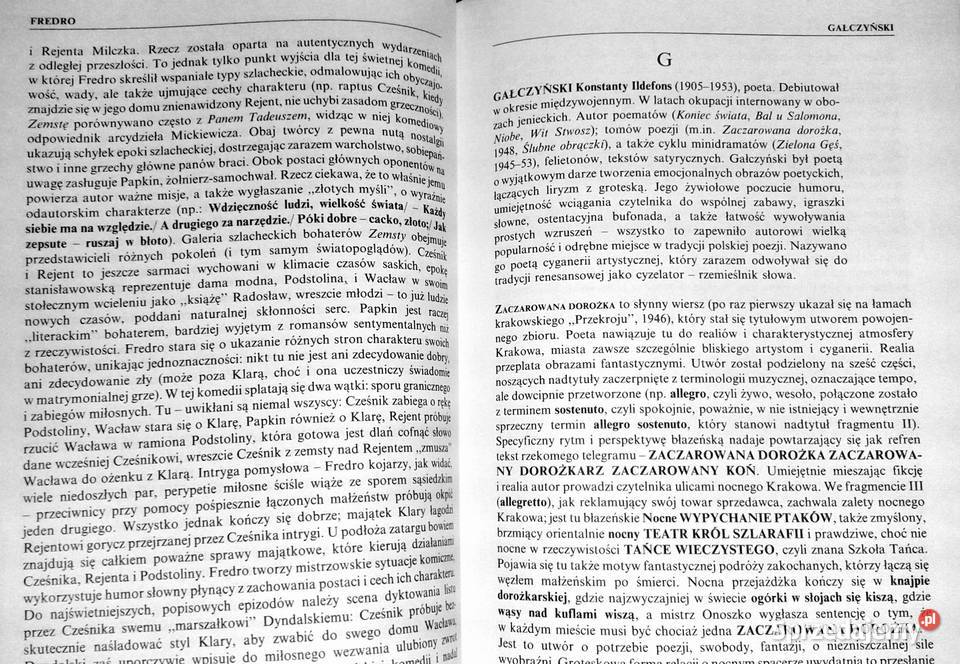 Słownik pisarzy lektur i terminów literackich lubelskie Chełm