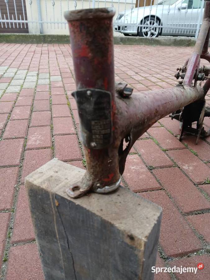 Żak rama Ramy