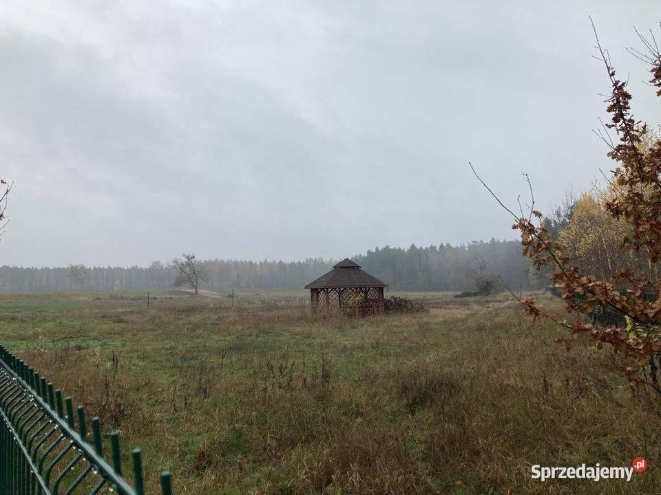 Dz Budowlana na Mazurach 1888 m2 MEDIA Jagodne 169zł/m2 Jagodne Wielkie