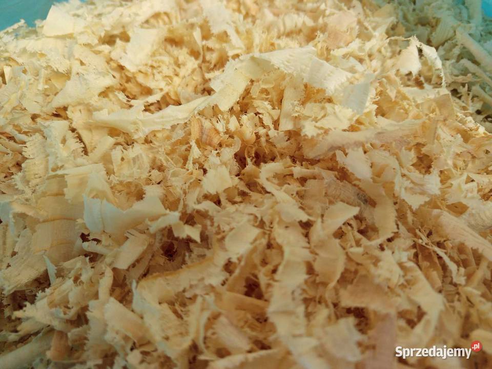 Wióra wiórka świerkowe suche Worek 240l małopolskie Skomielna Czarna sprzedam