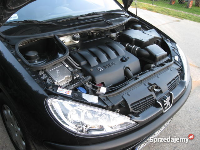 Peugeot 206 Leszno