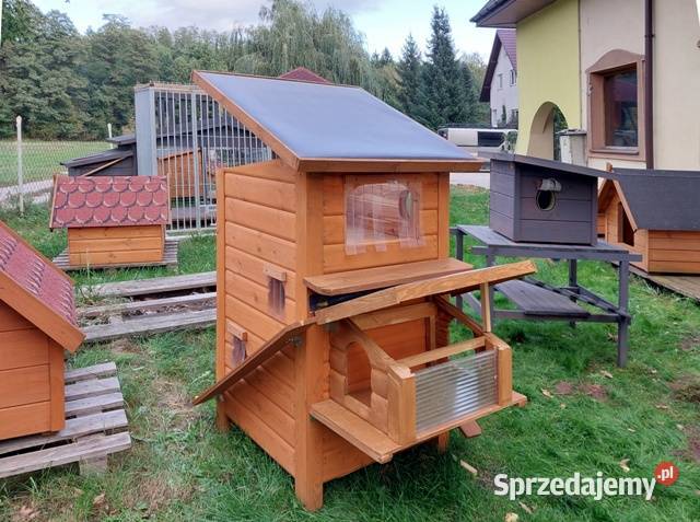 domek kota kotów Andrzejów 6 Skierniewice