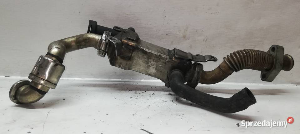 Chłodnica Spalin BMW 25 30D 224945604 osobowe