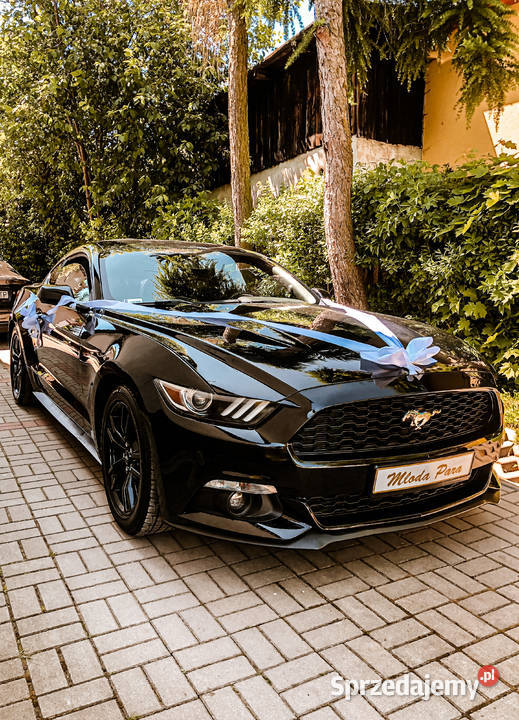 Auto Sportowy do Ślubu na wesele MUSTANG Premium dolnośląskie Jelenia Góra