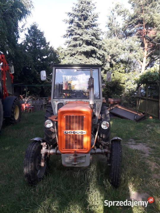 Sprzedam traktor ursus c360 Ursus Lewin Brzeski