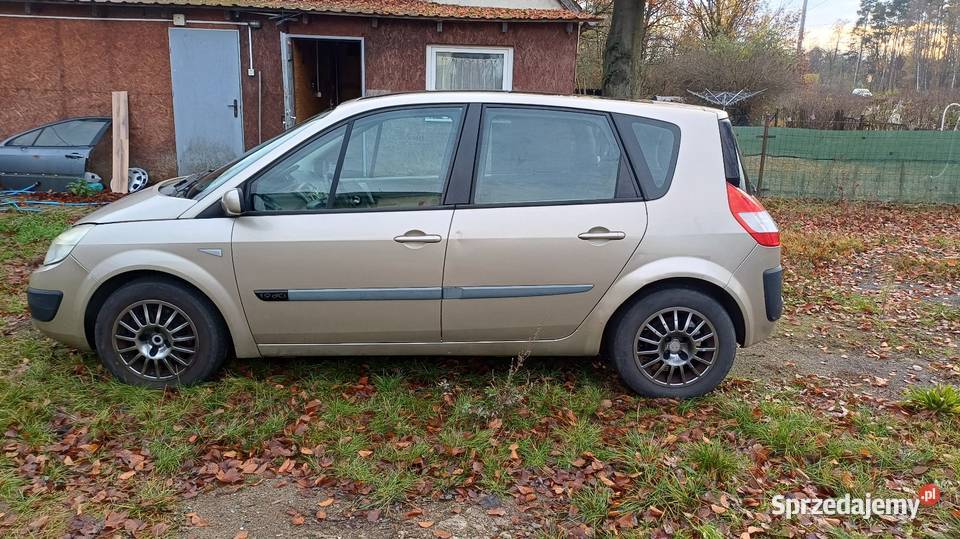 Renault Scenic 2006 r 19 130 Scenic Rzepin