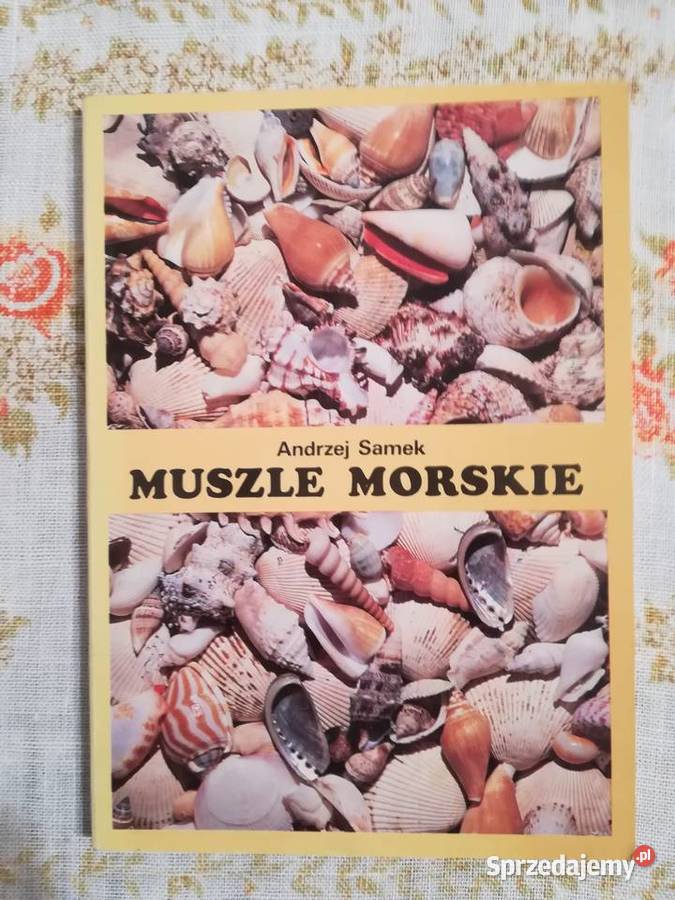 Andrzej Samek Muszle morskie mały przewodnik sprzedam