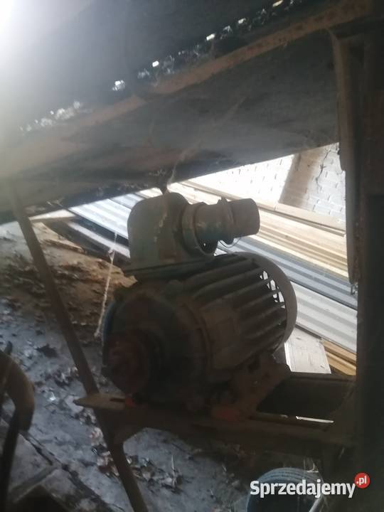 Taśmociąg do obornika