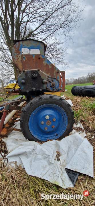 Siewnik nieuszkodzony Krogulna