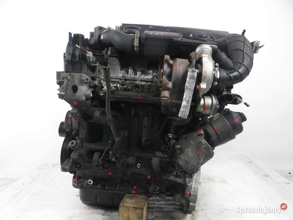 SILNIK FORD FIESTA MK5 V 14 TDCi F6JA KOMPLETNY sprzedam