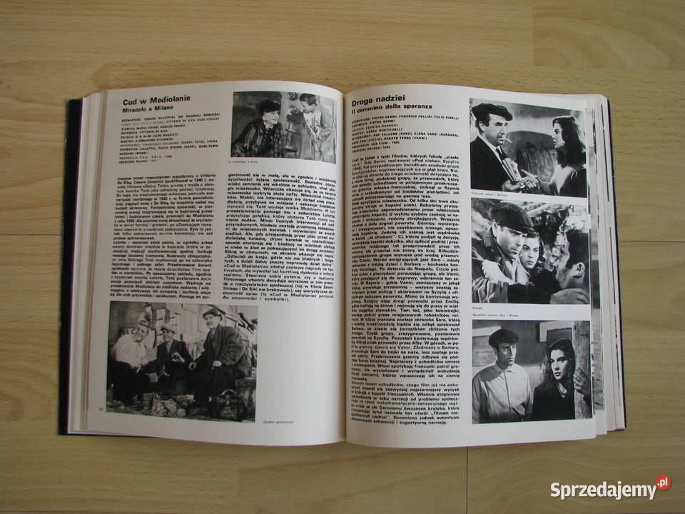 100 filmów włoskich Hanna KsiążekKonicka Brzegi