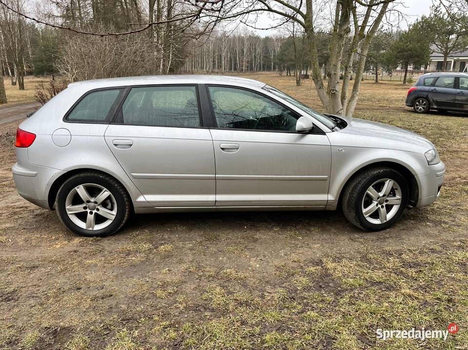 Audi a3 8p Konin