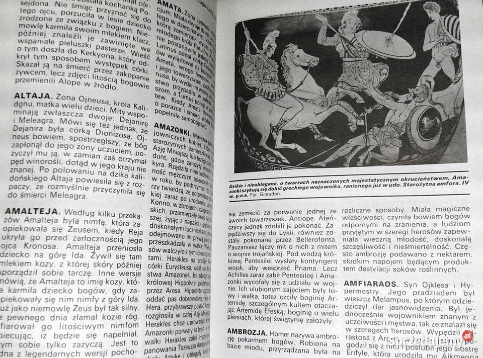 Słownik mitologii greckiej i rzymskiej Joel Chełm