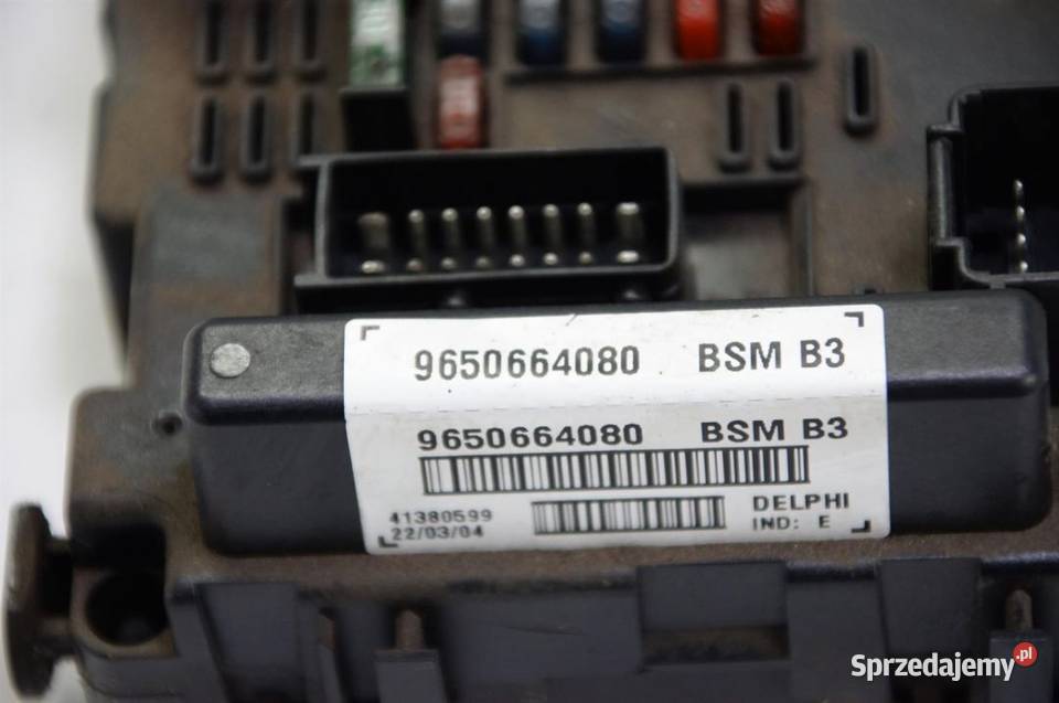 SKRZYNKA BEZPIECZNIKÓW 9650664080 PEUGEOT 307 SW Pozostałe Lipno sprzedam