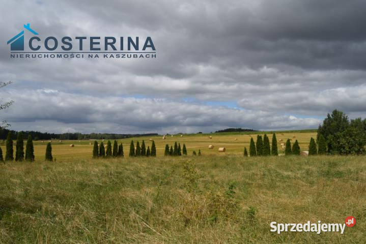 Działkę sprzedam 1545m Lubieszyn