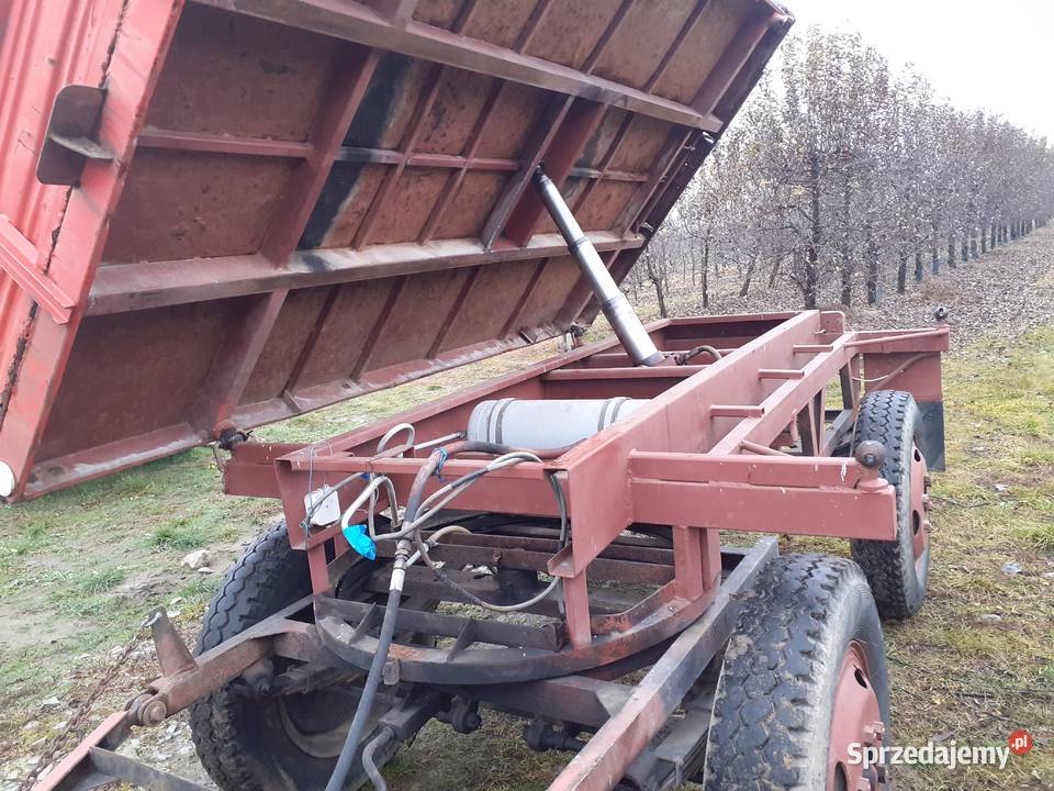 Przyczepa z kiprem świętokrzyskie Koprzywnica