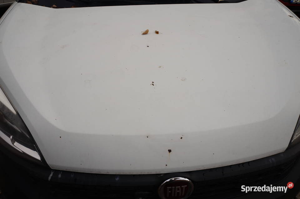 Fiat Doblo Cargo 16 Mjet śląskie Tychy