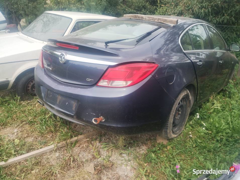opel insignia pozostalosci małopolskie
