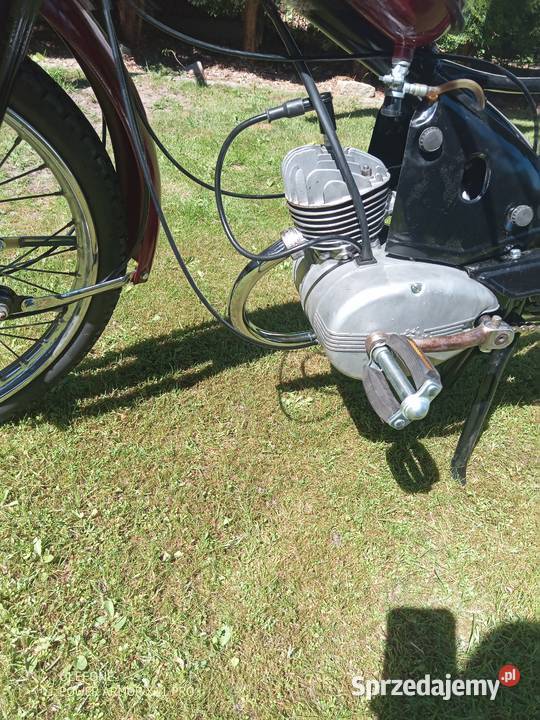 Komar sztywniak zarejestrowany pomorskie Nowa Karczma sprzedam