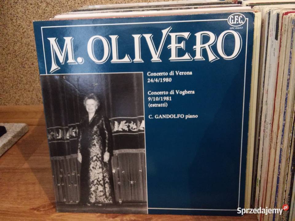 Kolekcja 170 płyt winylowych całość w transzach klasyczna Włocławek