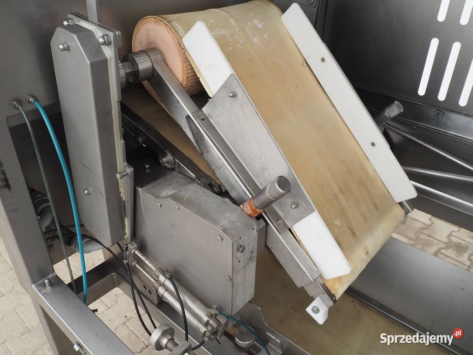 Skórowaczka Taśmowa Graselli wielkopolskie Krotoszyn