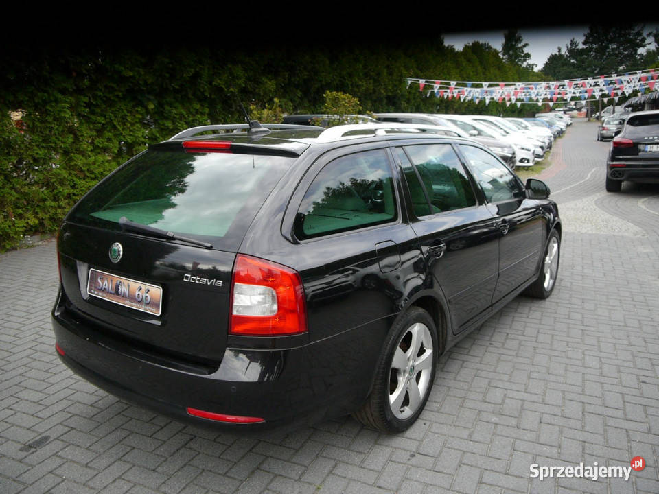 koda Octavia 18i Xenon Stan b bezwypadkowy bez benzyna Octavia sprzedam
