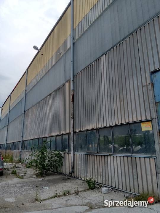 Hala Produkcja Magazyn Warsztat 1500m2 lubelskie Puławy sprzedam
