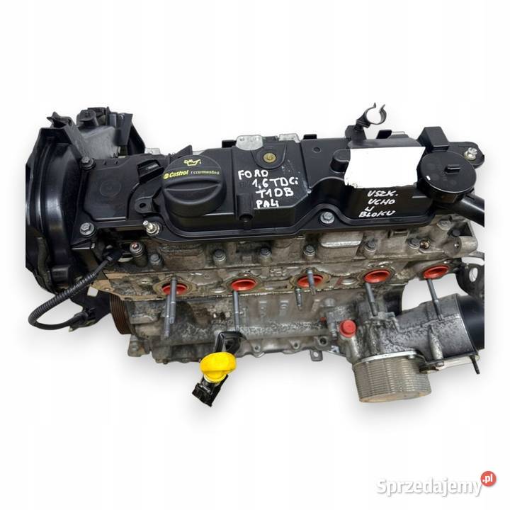 SILNIK T1DB Ford Focus III C C 16 TDCI 115 lubelskie Chełm sprzedam