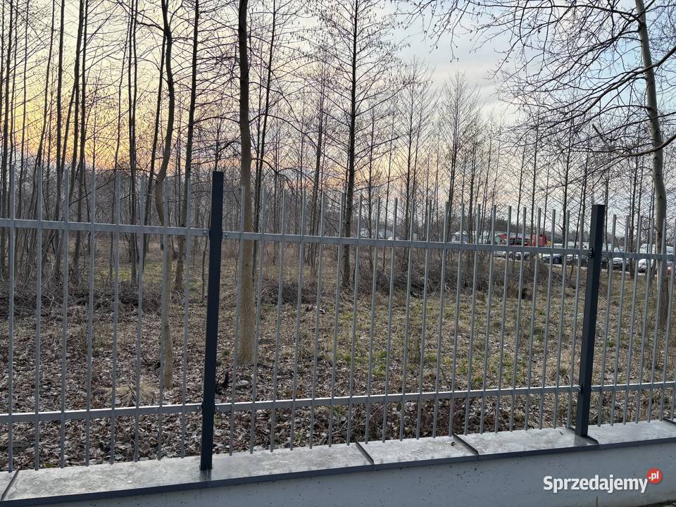 Przęsło ogrodzeniowe 300cmx150 Ocynk ogniowy Pod małopolskie Lipinki