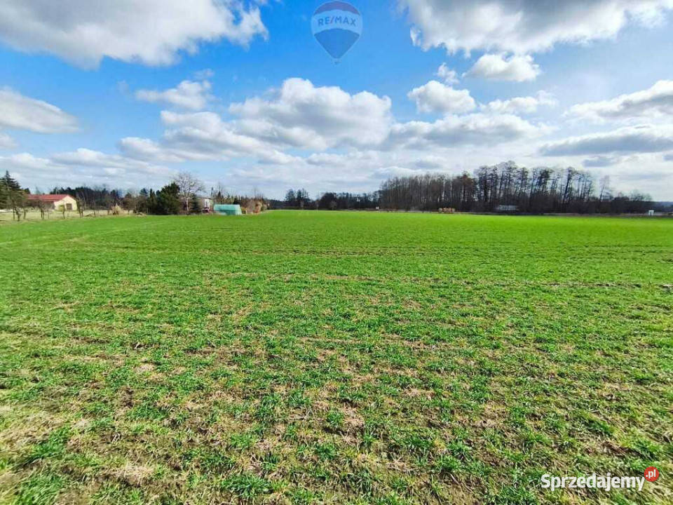 Działka budowlana w pobliżu Płocka Miszewko Strzałkowskie