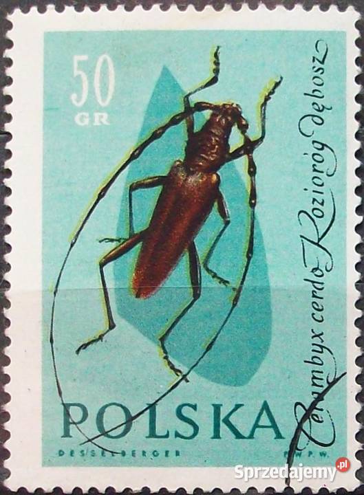 Polska1132113311341135113611371138113911401141114 Filatelistyka Leźnica Wielka sprzedam