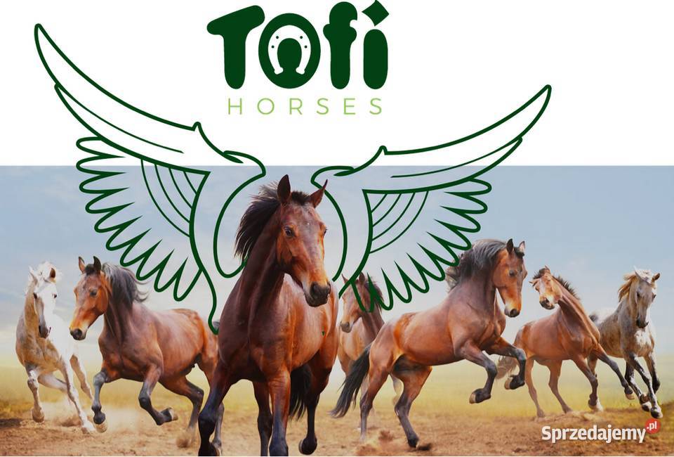 Tofi Horses niemelasowe wysłodki buraczane worek Radzymin