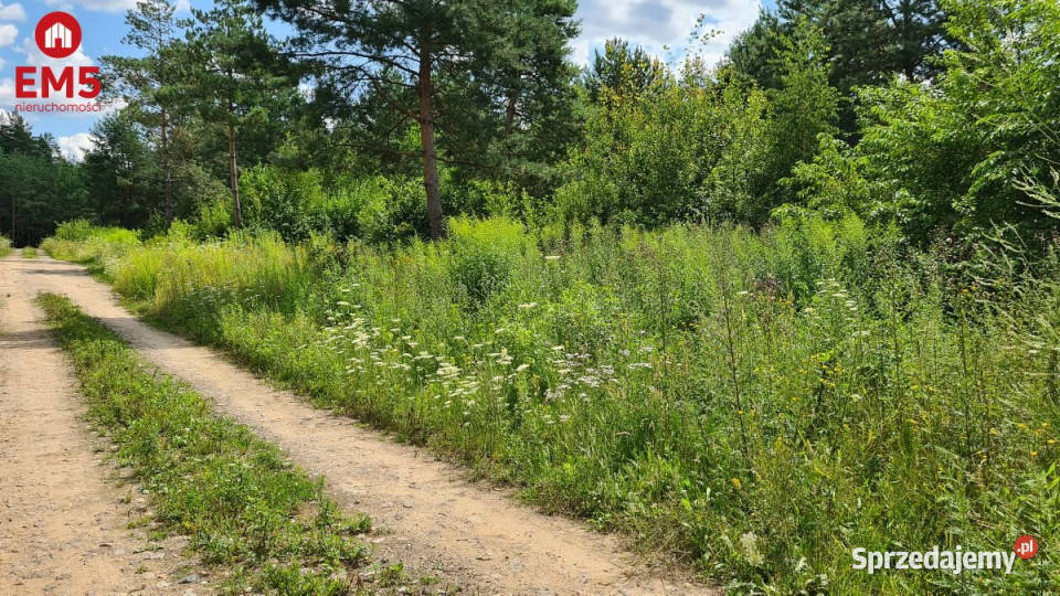 Do sprzedaży grunt 1370m2 Skrybicze 42m Ciasne sprzedam