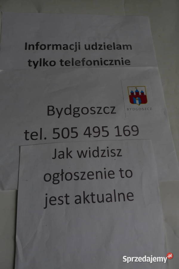 Samsung Galaxy A 145G Bydgoszcz kujawsko-pomorskie