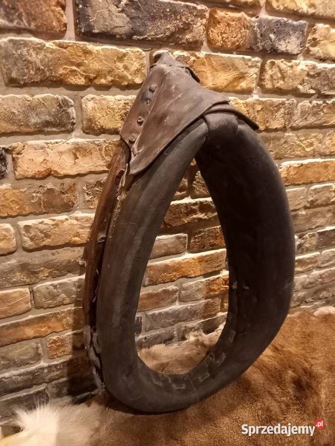 chomąto homąto homonto chomonto Gdańsk