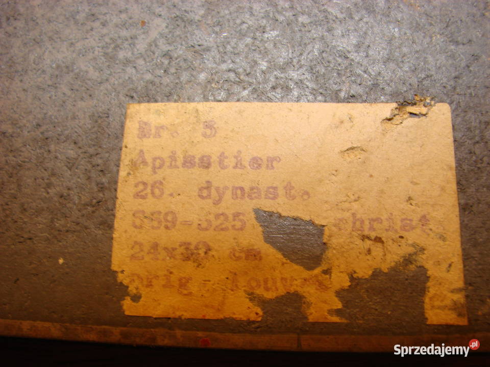 Święty byk Apis stary obraz Pruszcz Gdański