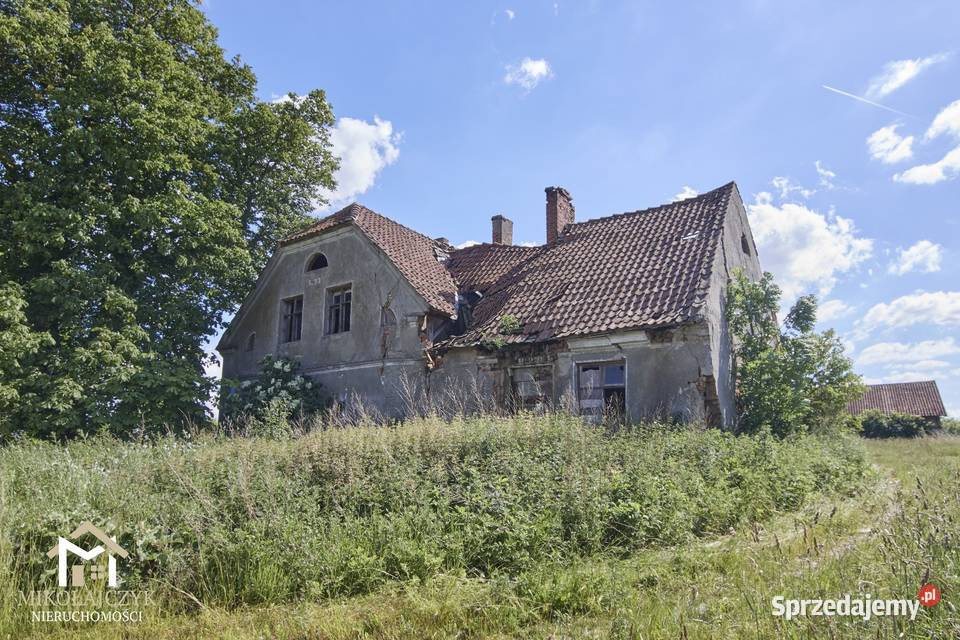 Siedlisko w otoczeniu natury 35 ha las Warmiany wolnostojący Sprzedaż