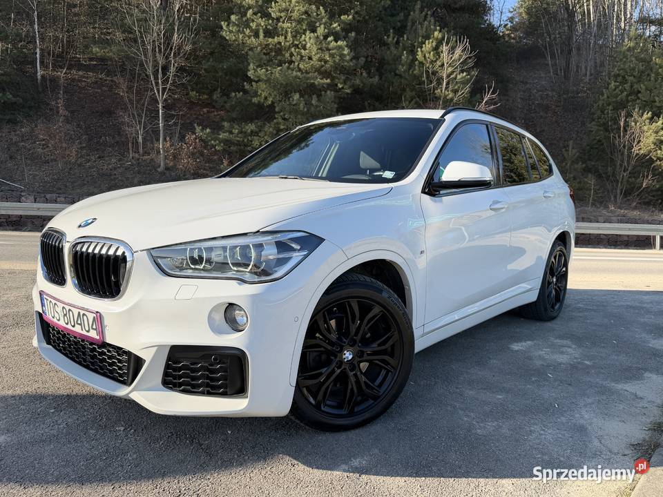BMW X1 Mpakiet Ostrowiec Świętokrzyski