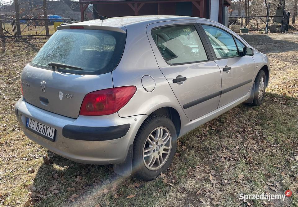 Peugeot 307 16 benzyna Świerzno