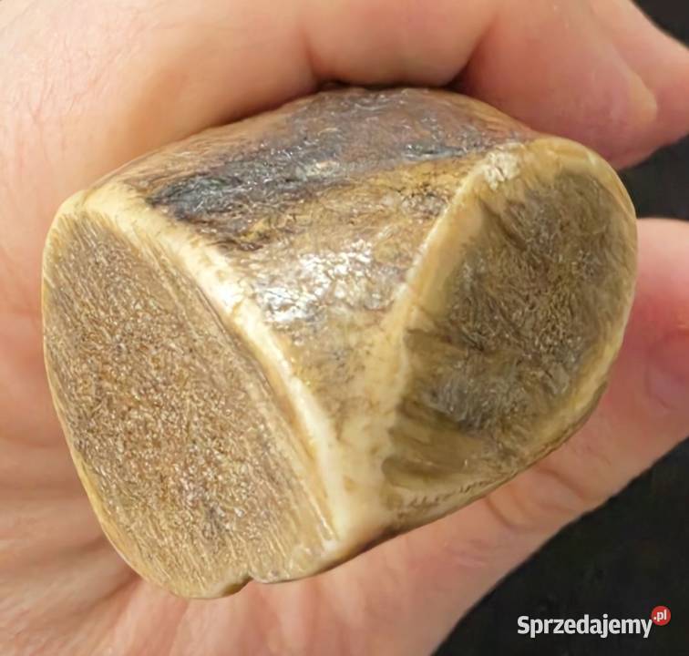 Nóż myśliwski domowej roboty Warszawa