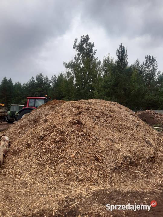 Zrębki leśne kompostowe Bukowno