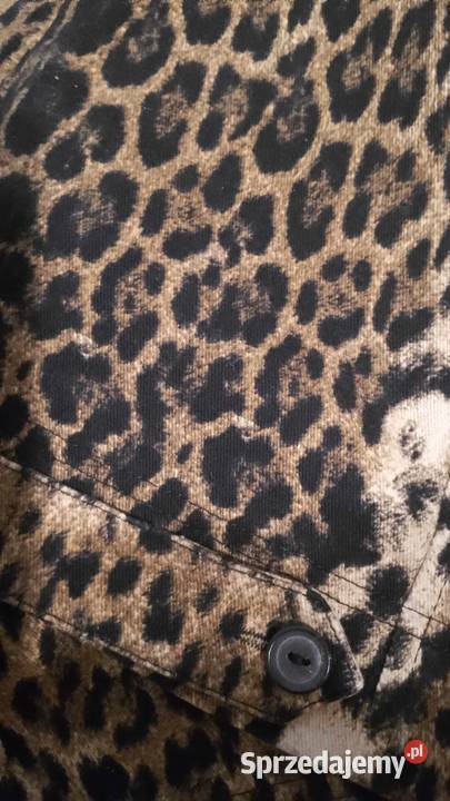 Kamizelka damska marki TRU CITY Marynarki i żakiety śląskie Częstochowa