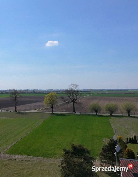 DZIAŁKI BUDOWLANE Dąbrowa gm Lądek powiat 107zł/m2