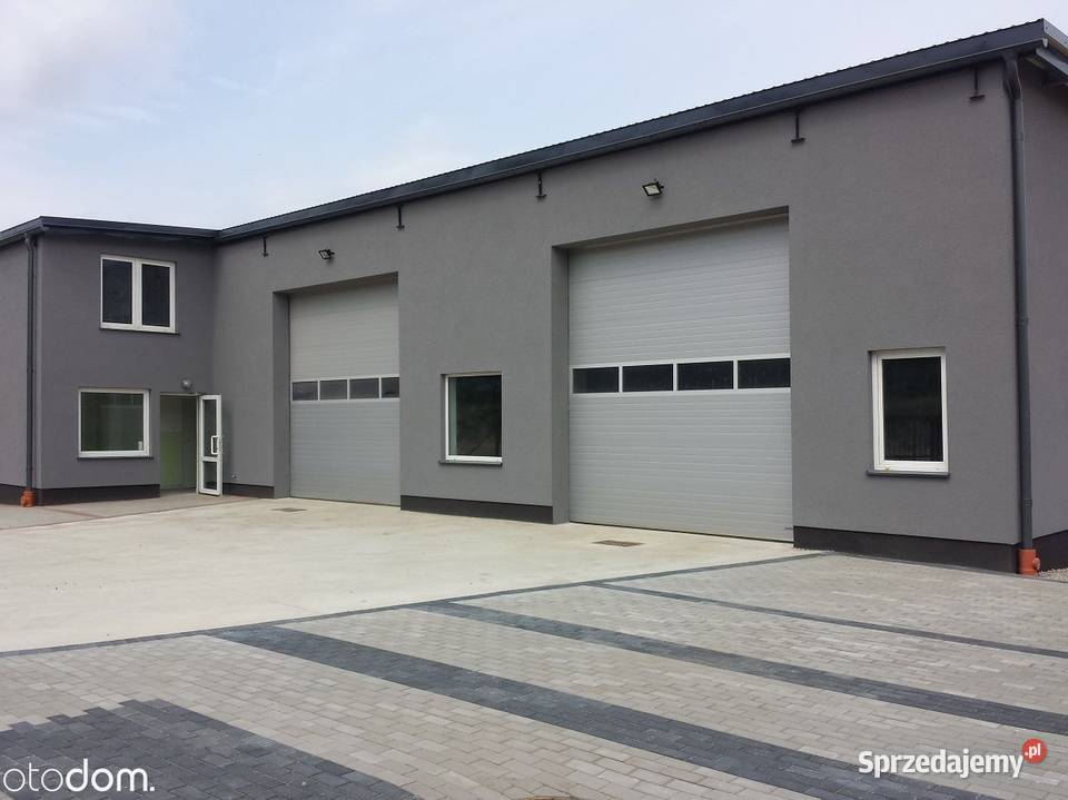 Hala 241 m w Redzie Pieleszewo Reda