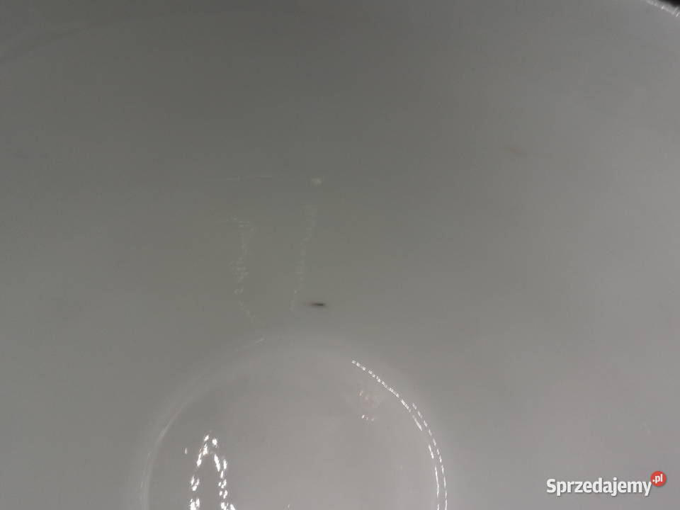 Filiżanka wiekowa porcelanowa CT Altwasser Raszków sprzedam