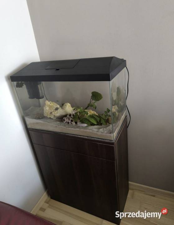Akwarium 60l z pyszczakami Kielce sprzedam