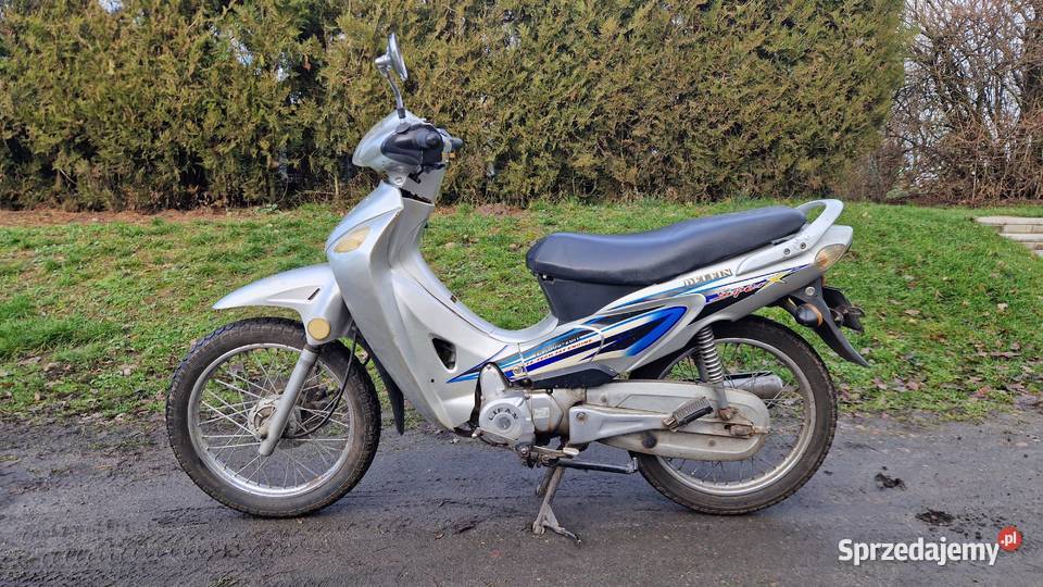 Lifan Delfin 50 4T Lifan wielkopolskie Jaszkowo