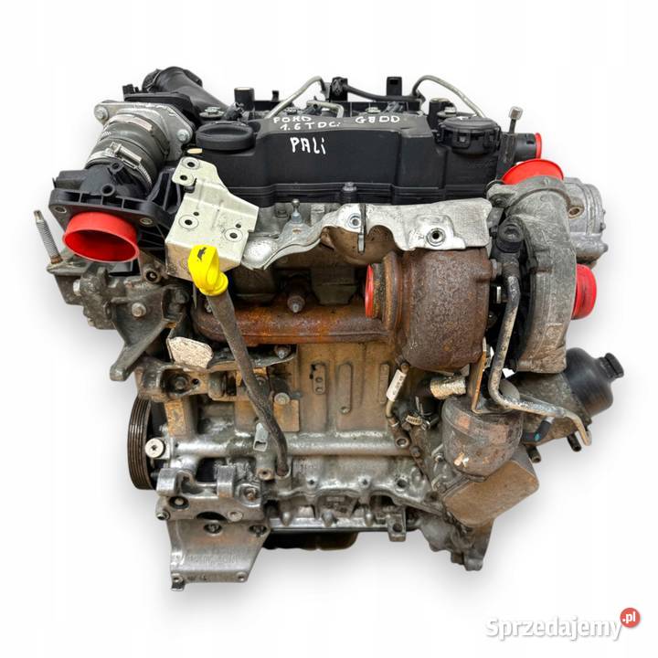 SILNIK KOMPLETNY G8DD Ford Focus II MK2 C C 16 Chełm