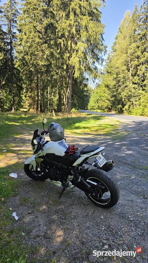 Suzuki gsxr 750 750